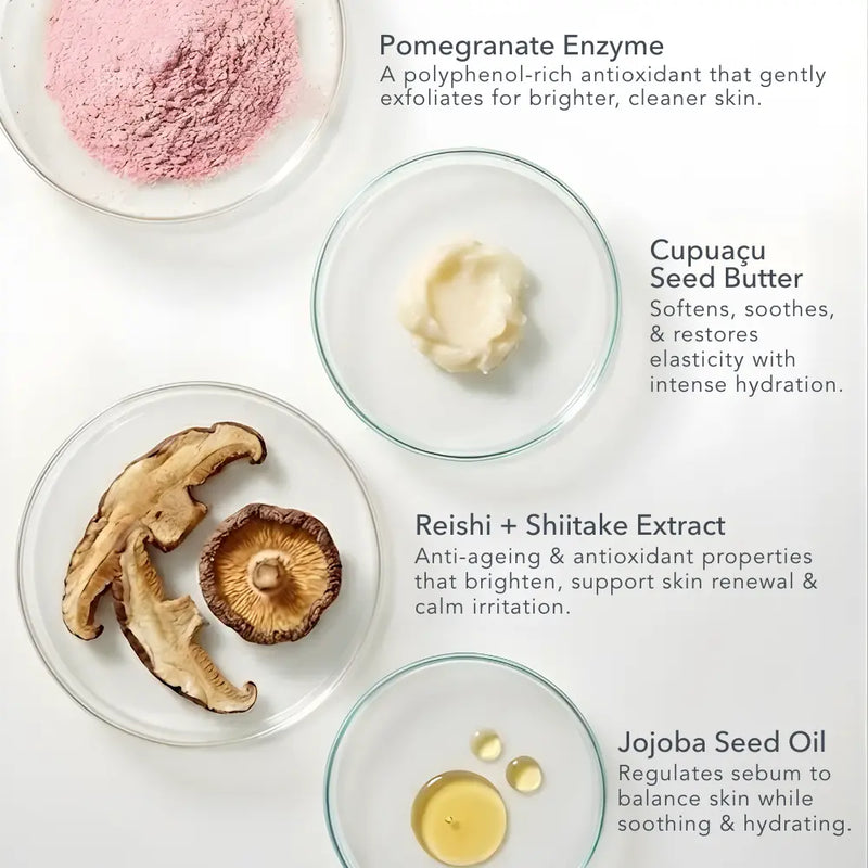 Rose + Cupuaçu Enzyme Cleanser-4