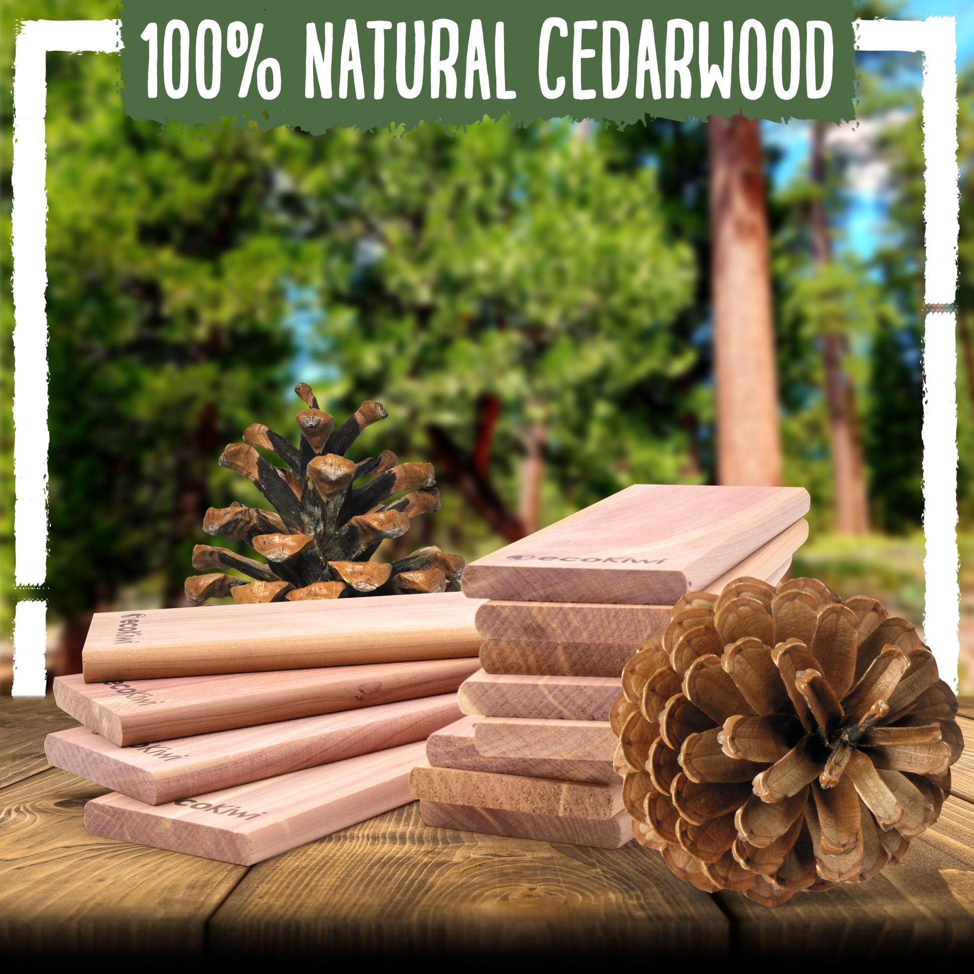 Natural Cedar Travel Wardrobe Blocks-5