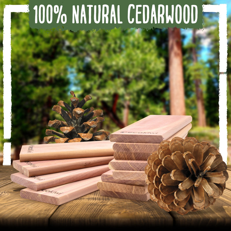 Natural Cedar Travel Wardrobe Blocks-5