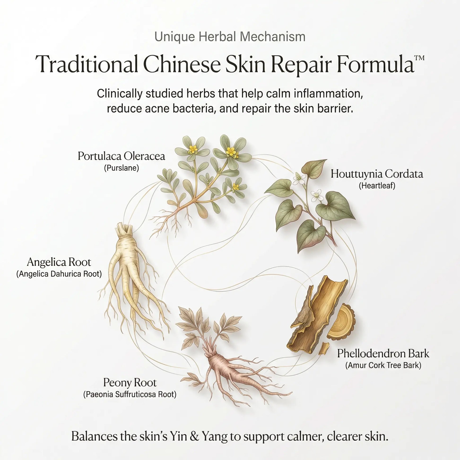 Ultimate Repair & Clear Face Cream for Acne-Prone Skin-4