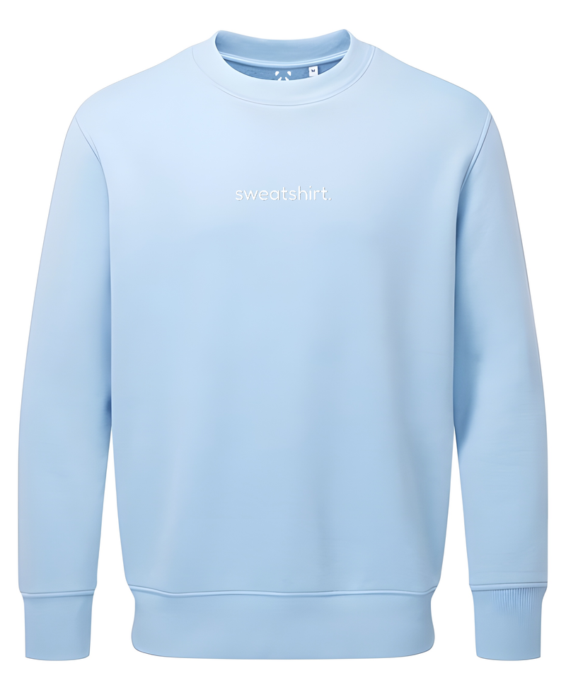 simple. sweatshirt. snug. light-blue.-1
